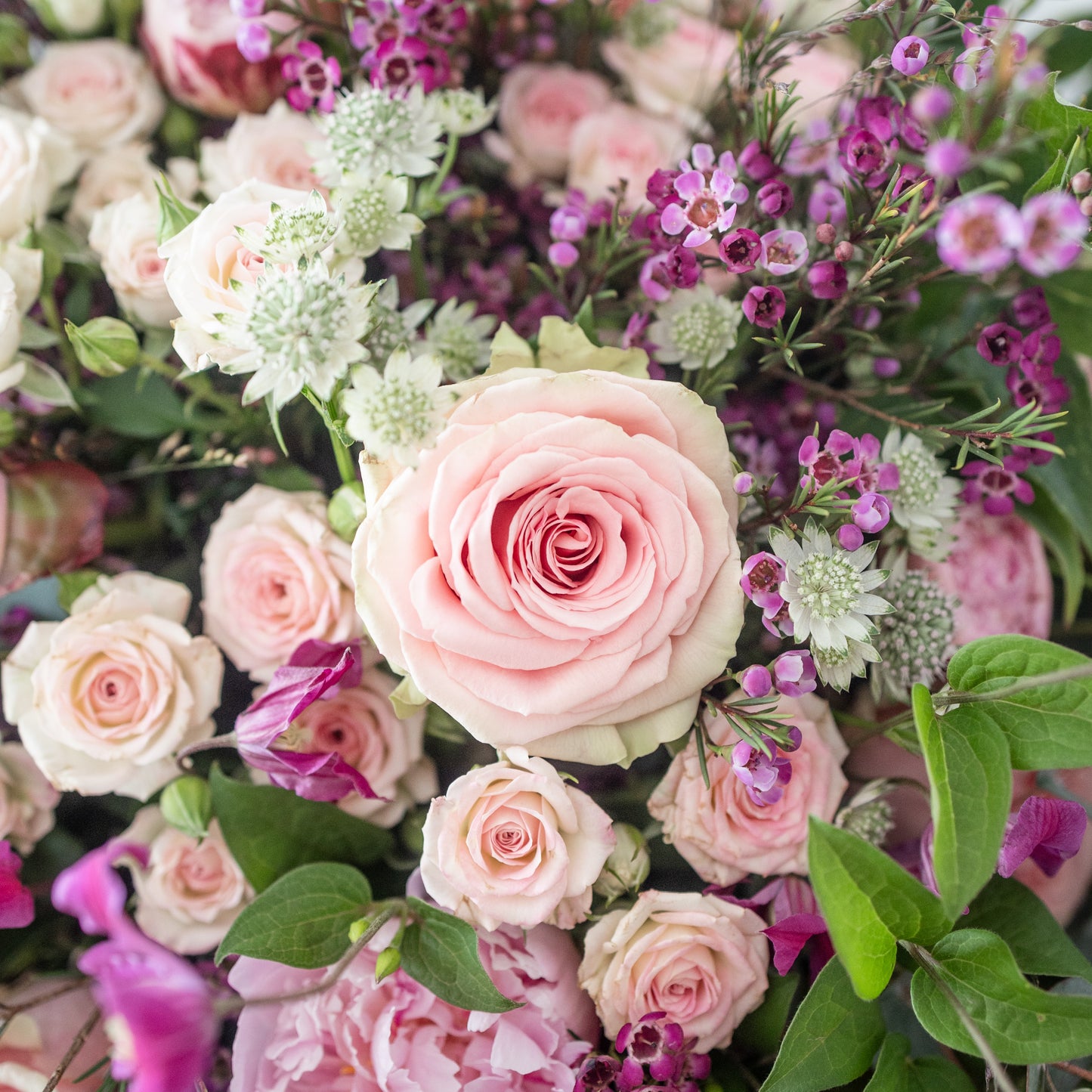 Bolsa de Flores Extra Grande Pink - Mossfloristas