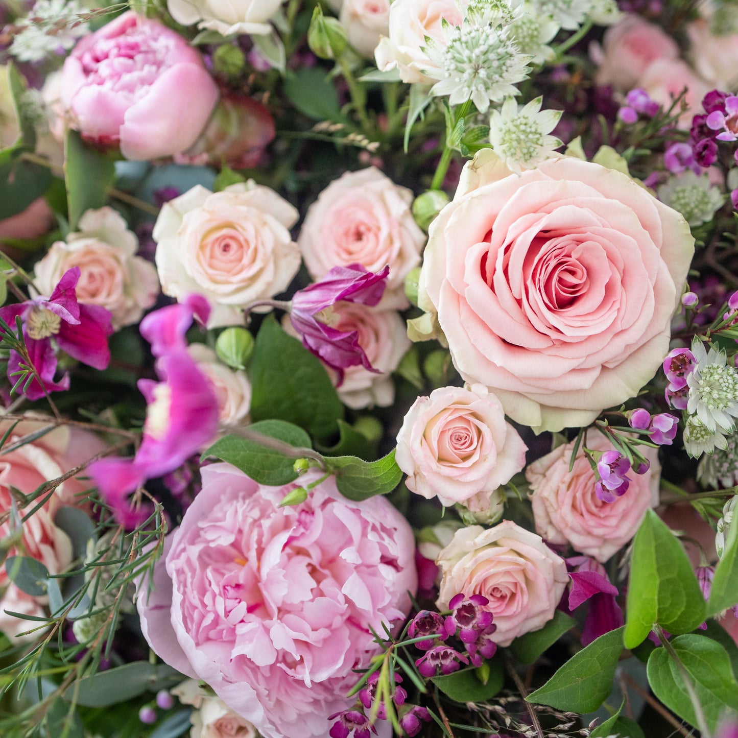 Bolsa de Flores Extra Grande Pink - Mossfloristas