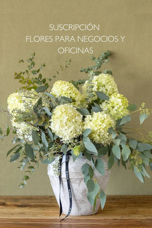 Suscripción de Flores para negocios y oficinas