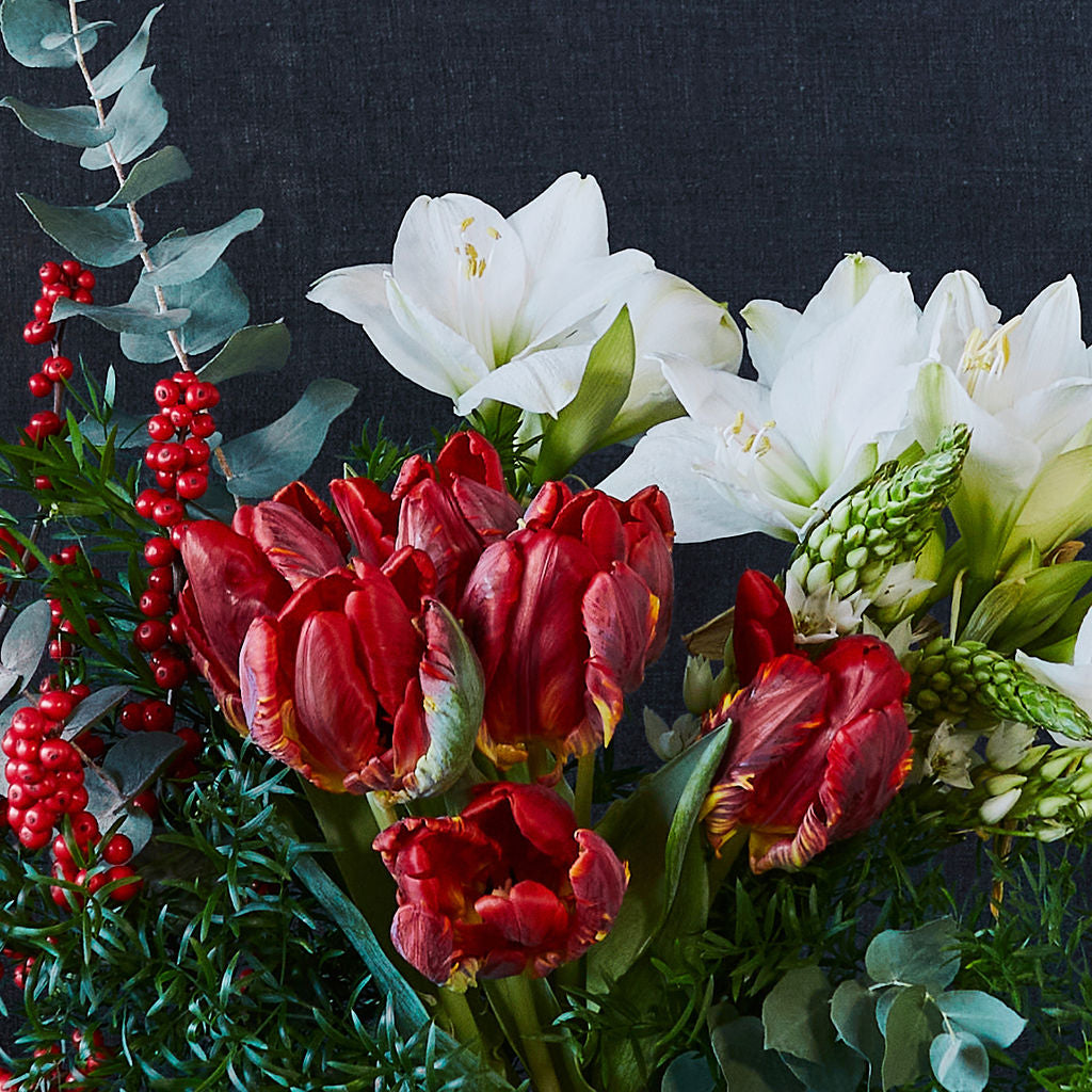 Centro en rojo y blanco