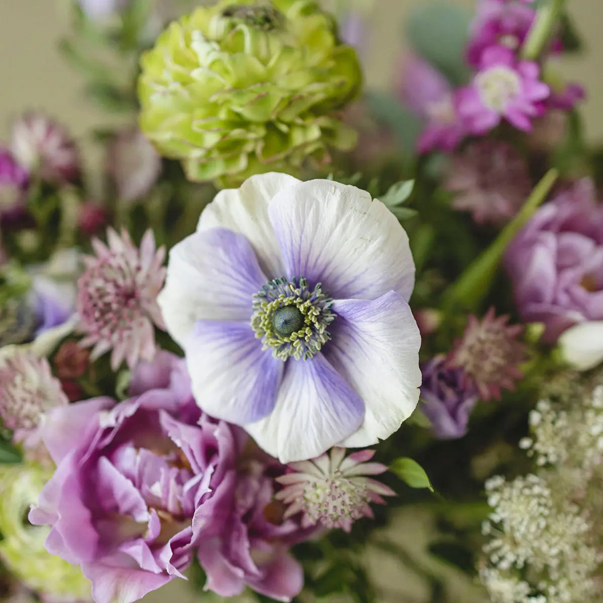 Ramo Violet Mossfloristas