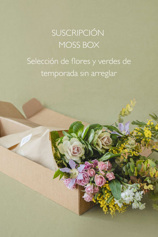 Suscripción Moss Box