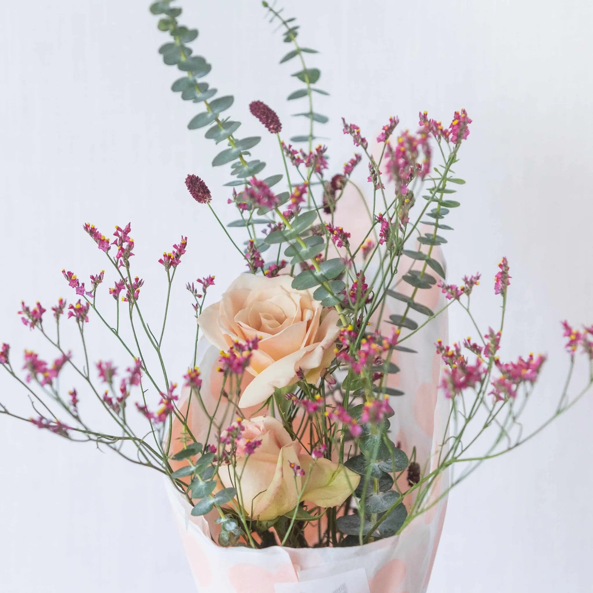 Rosa de San Valentín--Mossfloristas